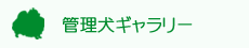 管理犬ギャラリー